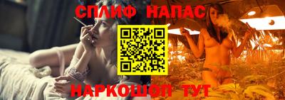 гидра Гусиноозёрск
