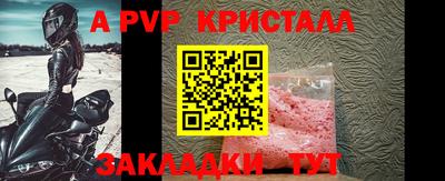 крисы Гай