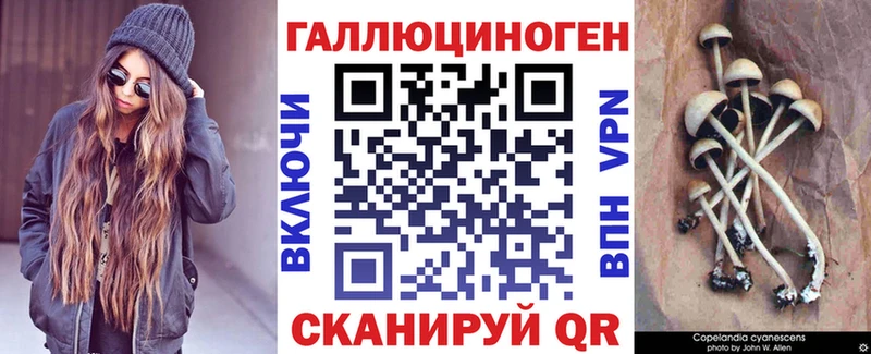 Галлюциногенные грибы Psilocybine cubensis Нижнекамск