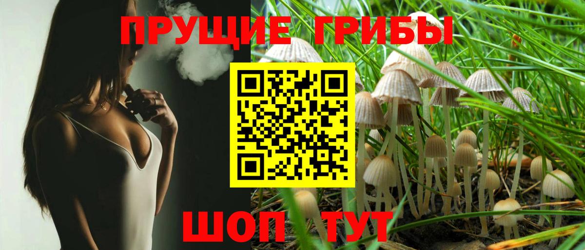 Галлюциногенные грибы Magic Shrooms Нижнекамск