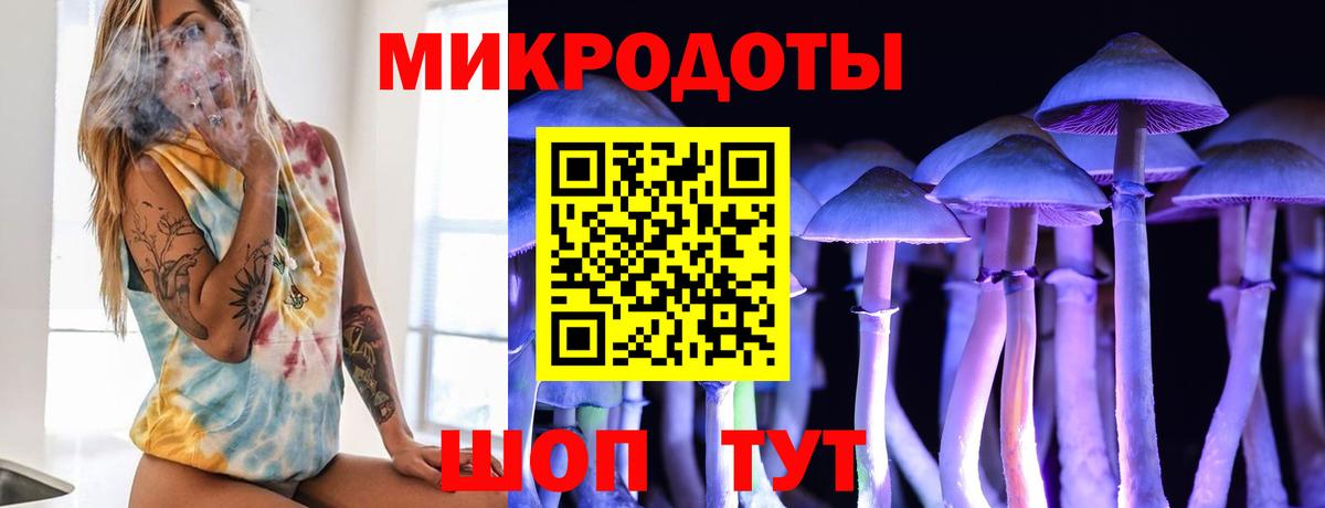 Галлюциногенные грибы мухоморы  Псилоцибиновые грибы Psilocybe  дарнет шоп  Нижнекамск  Вход с VPN 